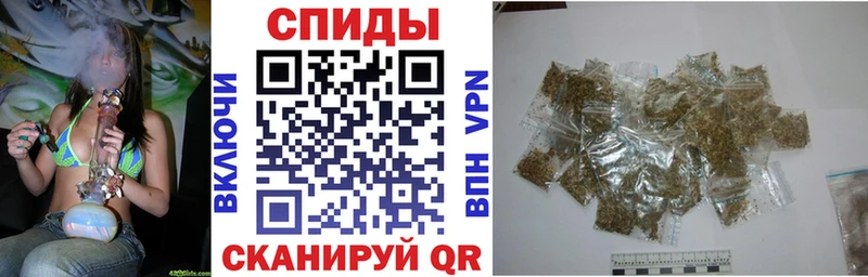 Купить где  Чадан  БУТИРАТ оксана 