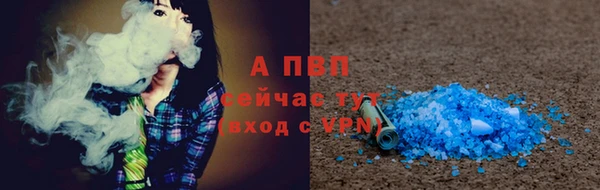 гашик Дмитриев