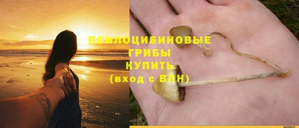 героин Ельня