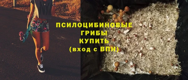 героин Ельня