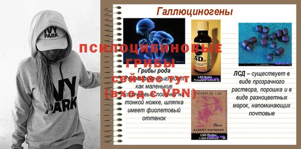 гашик Дмитриев